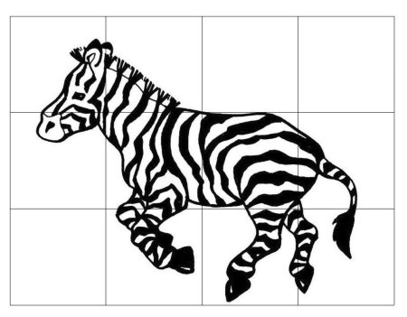 Zebra TF