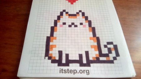 Пицца по клеткам