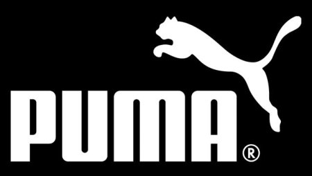 Рисунки по клеточкам фирмы