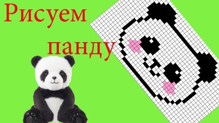 Рисунки по клеточкам Панда