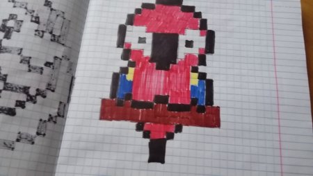 Евгенабро по клеточкам в тетради