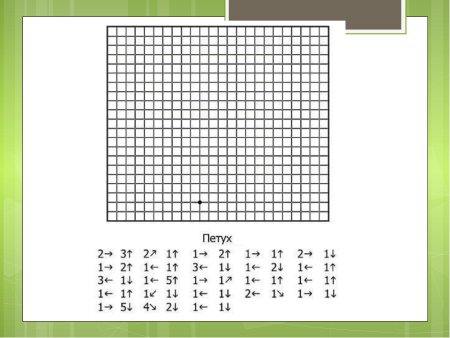 Диктант по стрелочкам для дошкольников 6-7 лет