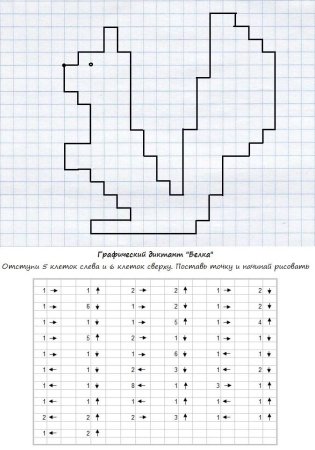 Графический диктант белка для дошкольников