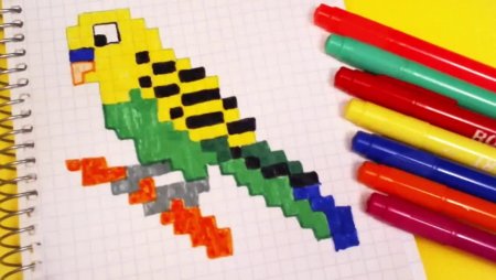 Попугай по клеточкам в тетради