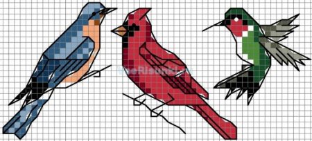 Рисунки по клеточкам Колибри