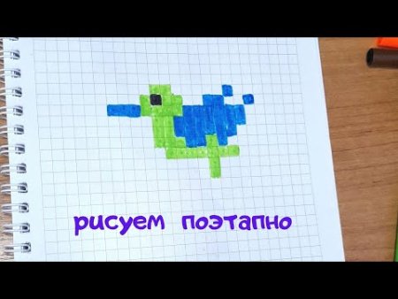 Как нарисовать Колибри по клеточкам