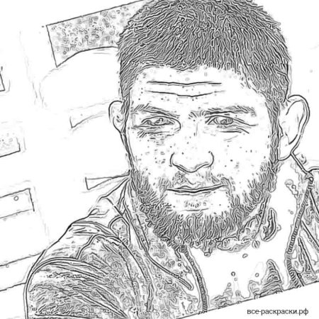 Рисунок Хабиба Нурмагомедова