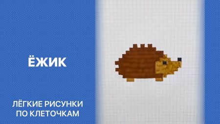 Ежик по клеткам