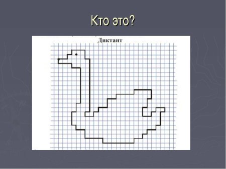 Графический диктант белка