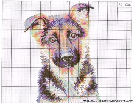 Риолис овчарка 1068