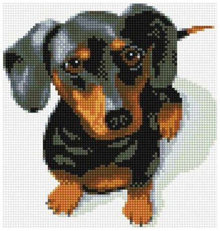 Алмазная мозаика такса