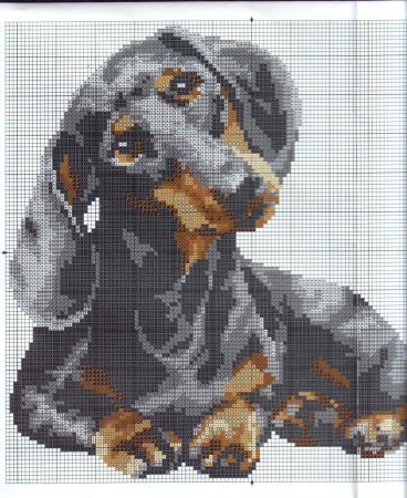 Вышивка крестом таксы схемы Риолис