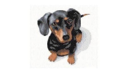 Тетрадки с собачками таксами