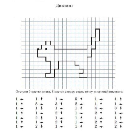 Клеточный диктант для детей 10 лет