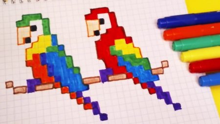 Попугай по клеточкам в тетради