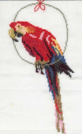 Попугаи лёгкая вышивка
