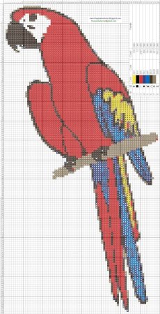 Схема вышивки попугай