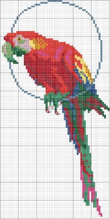 Вышивка попугаи крестиком