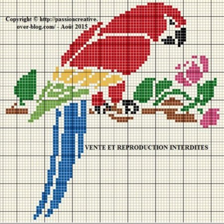 Вышивка попугаи крестиком