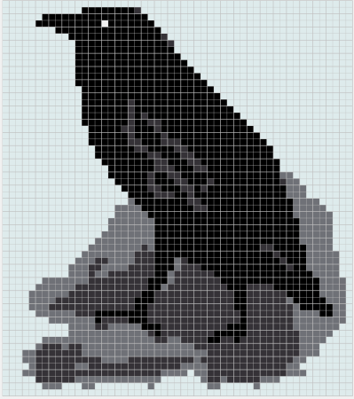 Ворона жаккард