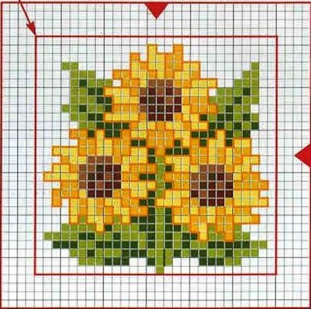 Растения по клеточкам