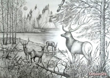 Рисунок на тему моя Сибирь