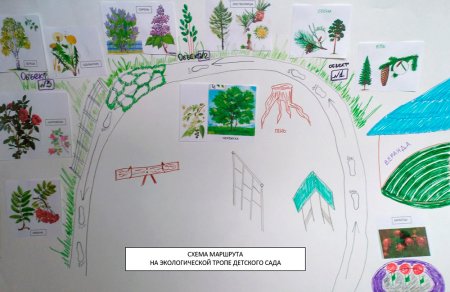 Экологическая тропинка в детском саду схема