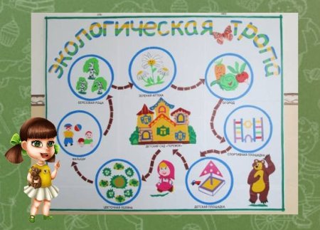 Экологическая тропа для дошкольников