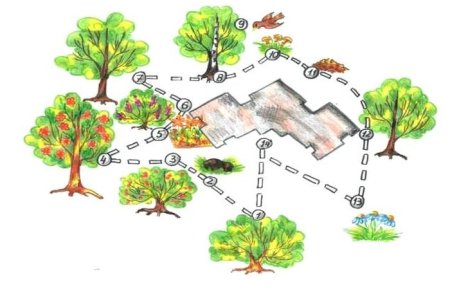 Экологическая тропа в детском саду рисунок