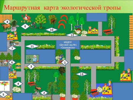 Схема экологической тропы в ДОУ на участке детского сада