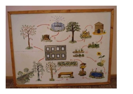 Экологическая тропа для детей дошкольного возраста