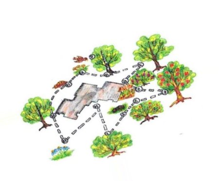 Экологическая тропа в детском саду рисунок