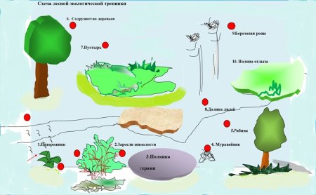 Схема экологической тропы