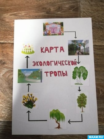 Экологическая тропа в средней группе