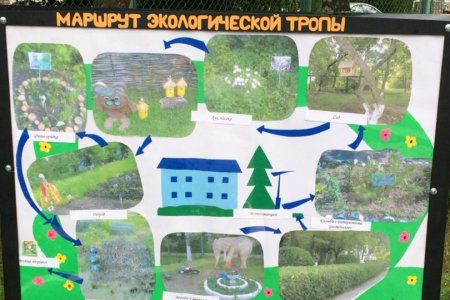 Схема экологической тропы в детском саду на участке