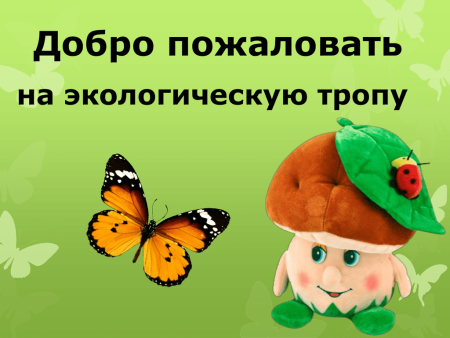 Добро пожаловать в экологическую тропу