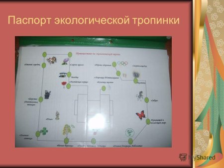 Паспорт экологической тропинки