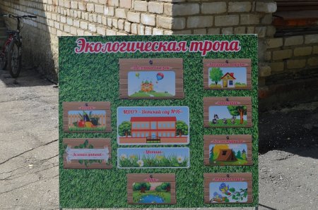 Экологическая тропинка в детском саду