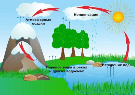 Процесс круговорота воды в природе схема