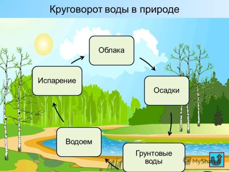 Этапы круговорота воды в природе