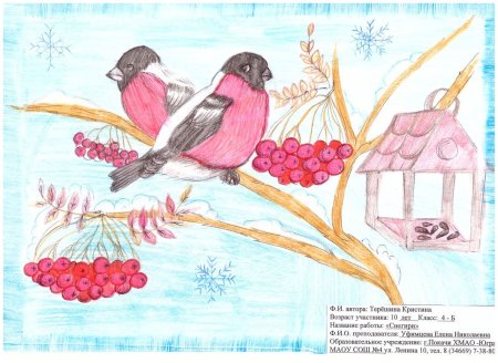 Детские рисунки на тему птицы