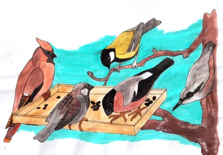 Рисунок птицы нашего региона