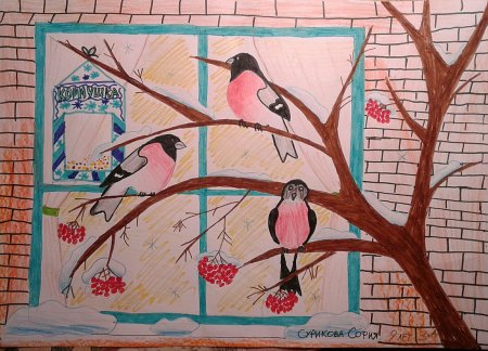 Зимующие птицы раскраски для дошкольников