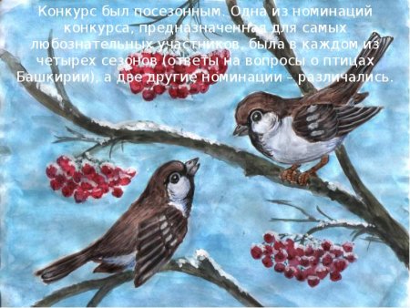 Рисование на тему кормушка для птиц