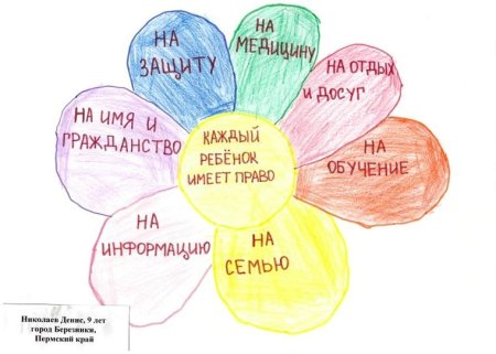 Конституция глазами детей