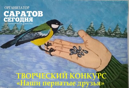 Рисунок на тему пернатые друзья