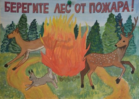 Плакат на тему береги лес от пожара
