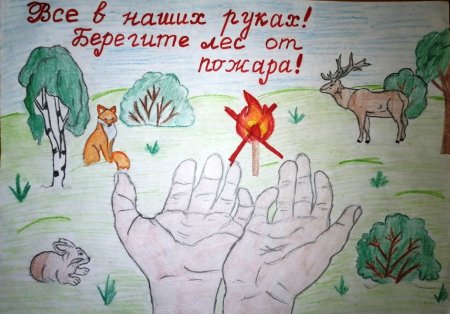 Рисунок на тему береги лес