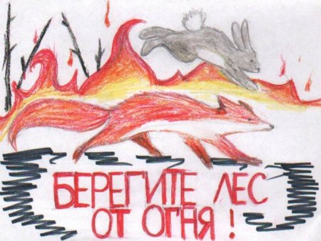 Сохраним лес от пожара