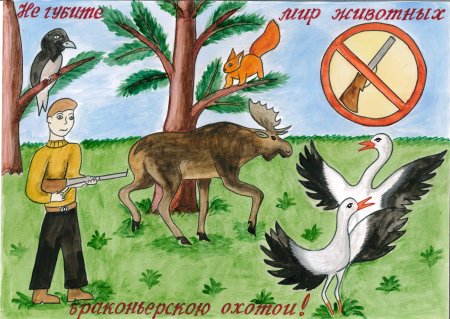 Не губи природу плакаты